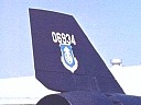 tail004.jpg