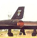 tail013.jpg