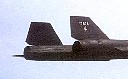 tail043.jpg