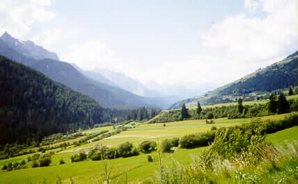 View from the road