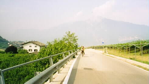 Me passing vineyards outside of Trento