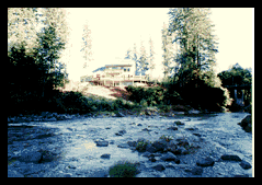 house1.gif - 16.7 K