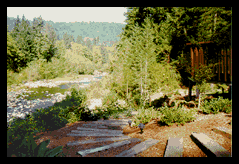 house4.gif - 19.7 K