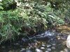 A Little Creek