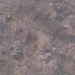 Beach Rocks