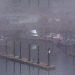 A Foggy Marina