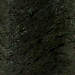 Black Stone