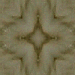 Brown Green Squares
