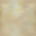 Brown Shell
