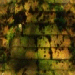 Gold and Green Roof