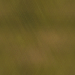 Green Cross Brush