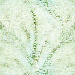 Green Chalk