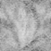 Grey Chalk