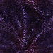 Purple Chalk