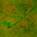 Colors of Green and Gold