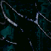 Black Marble