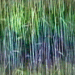 Water Rainbow