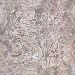 Tree Bark