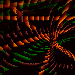 Orange Green Swirls
