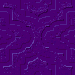 Purple Flowers