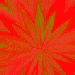 Red Flower Power