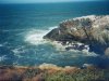 Pacific Ocean 9