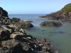 Tide Pool 2