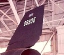 tail005.jpg