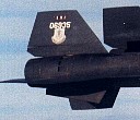 tail006.jpg