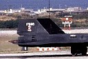 tail014.jpg