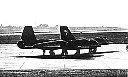 tail025.JPG