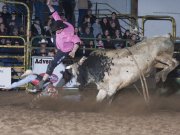 Bullfighter Billy Schwindt