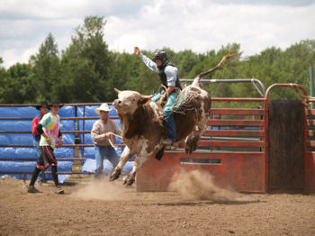 Oregon Jr. Bull Riders Association